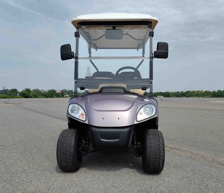 https://www.bak-ev.com/wp-content/uploads/2024/08/A-C22-Golf-Cart-Front-View.jpg