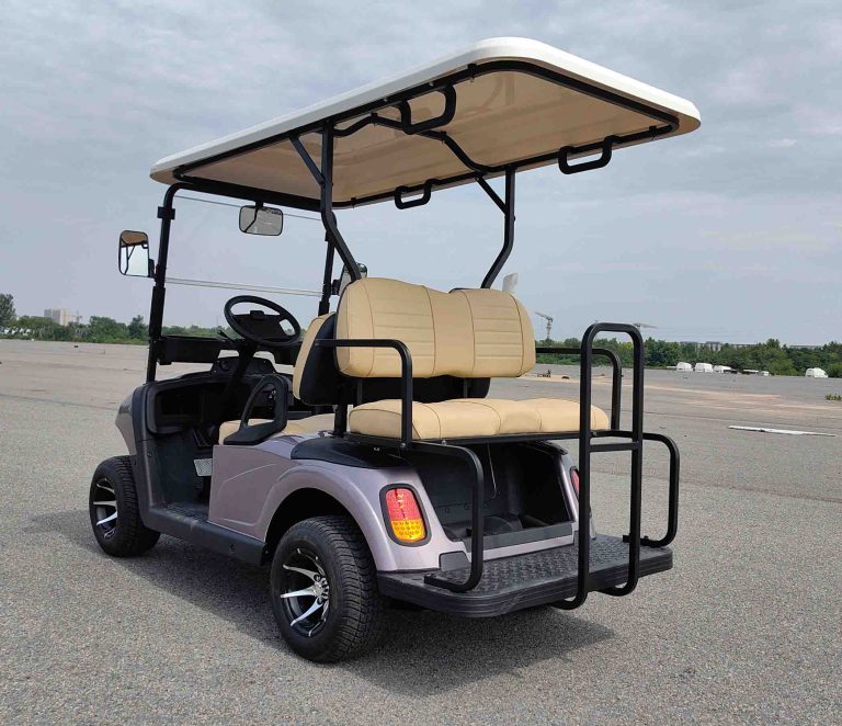https://www.bak-ev.com/wp-content/uploads/2024/08/A-C22-Golf-Cart-Rear-Side-View.jpg
