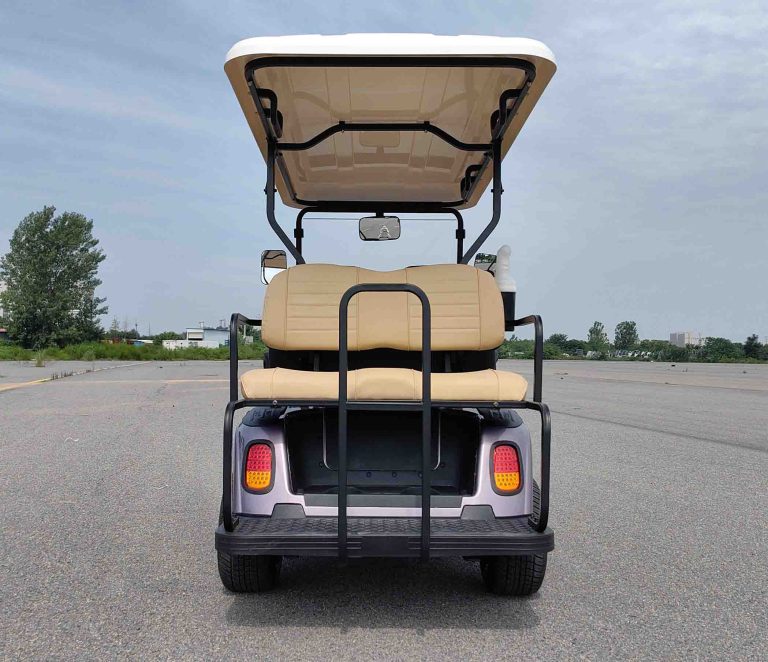 https://www.bak-ev.com/wp-content/uploads/2024/08/A-C22-Golf-Cart-Rear-View.jpg