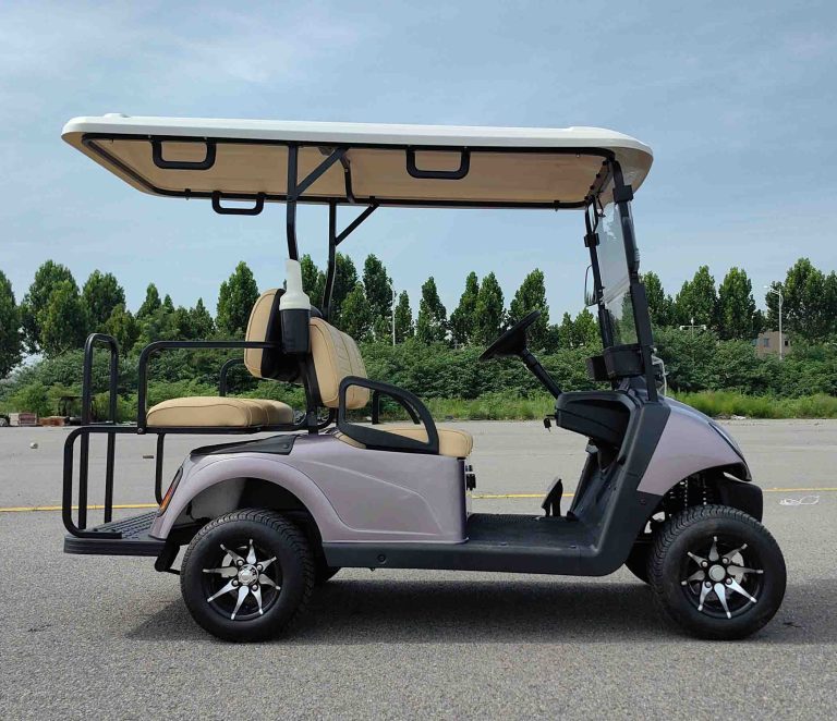 https://www.bak-ev.com/wp-content/uploads/2024/08/A-C22-Golf-Cart-Side-View.jpg