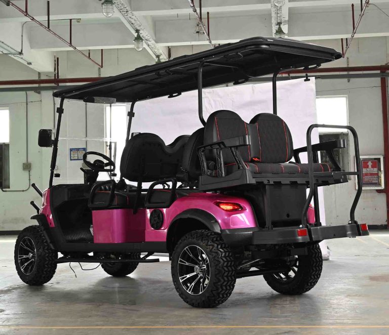 https://www.bak-ev.com/wp-content/uploads/2024/09/B-H42-Golf-Cart-Rear-Side-View.jpg