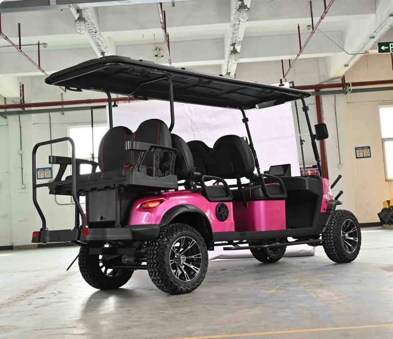 https://www.bak-ev.com/wp-content/uploads/2024/09/B-H42-Golf-Cart-Rear-Side-View2.jpg