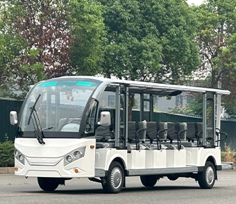 Electric Sightseeing Car picture